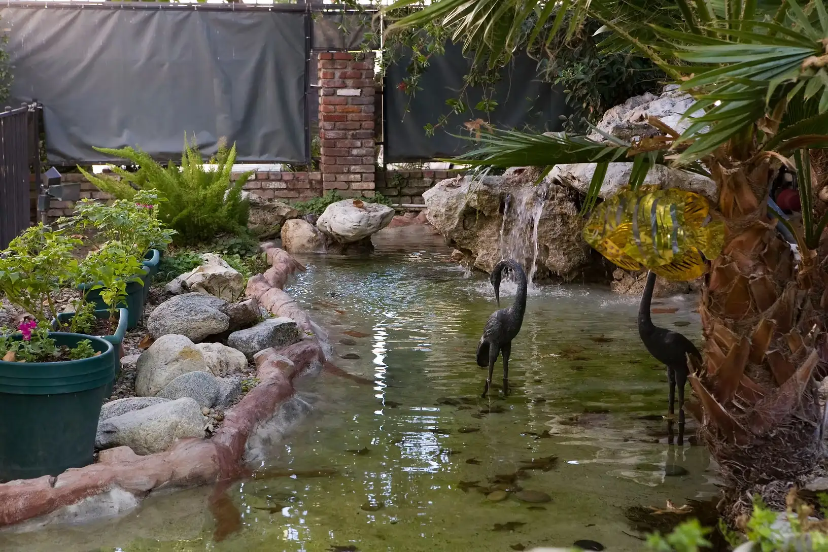 Peaceful garden pond with waterfall and greenery at Jasmin Terrace at El Molino assisted living community.